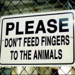 Things You Shouldn't Do Things You Shouldn't Do