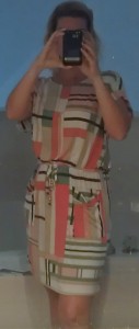 websterdress